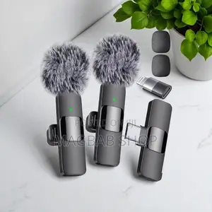 All in 1 Wireless Microphone (21522)
