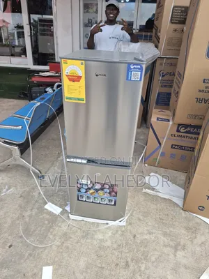 Wonderful Pearl Double Door Fridge With Lock and Key for Sal