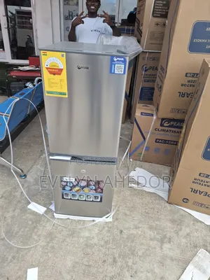 Wonderful Pearl Double Door Fridge With Lock and Key for Sal