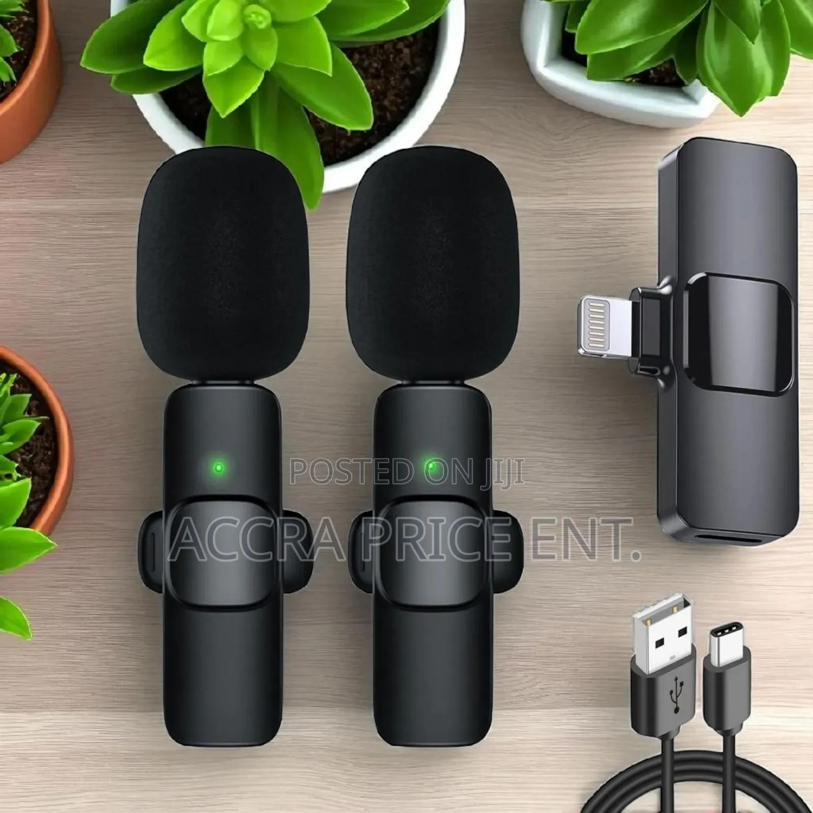 2 in 1 Wireless Microphone(443264)