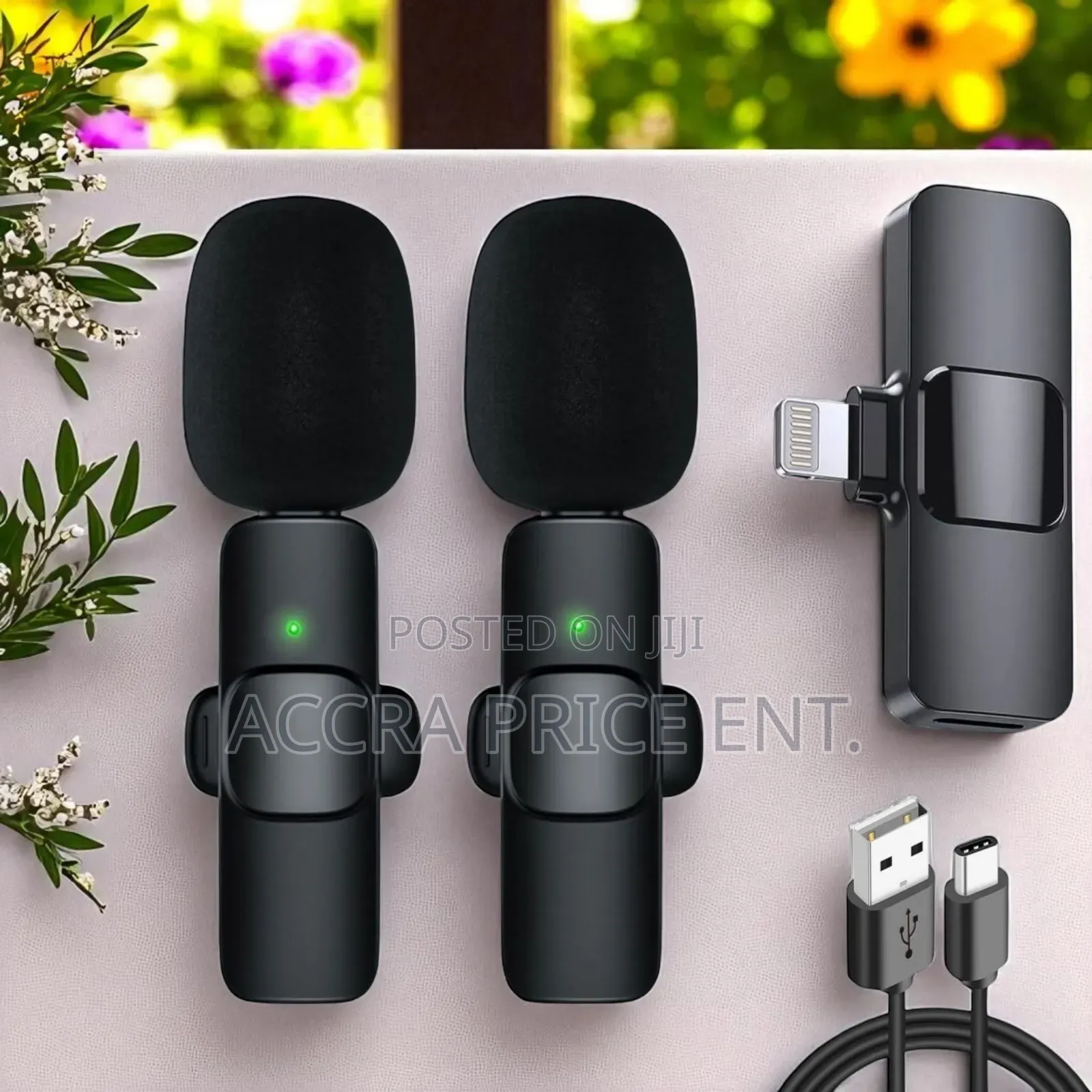 2 in 1 Wireless Microphone(554254)