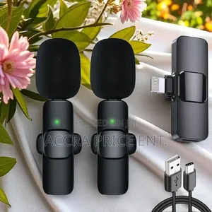 2 in 1 Wireless Microphone(856454)