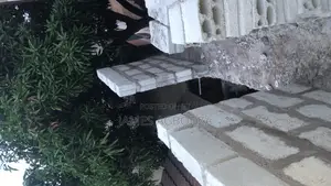 Professional Mason Master