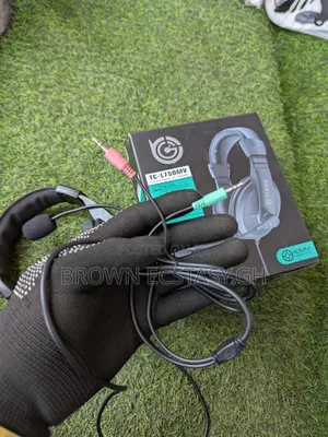 Tucci Professional Headphones With Mic