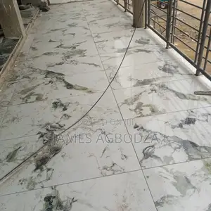 Professional Tiling Master