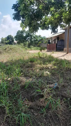 Road Side Fully Registered Plots for Sale at Ofankor Jeiriver