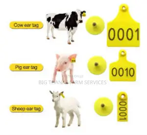 Tags For Cattle & Other Livestock