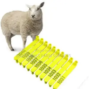 Tags For Sheep,Goats Etc