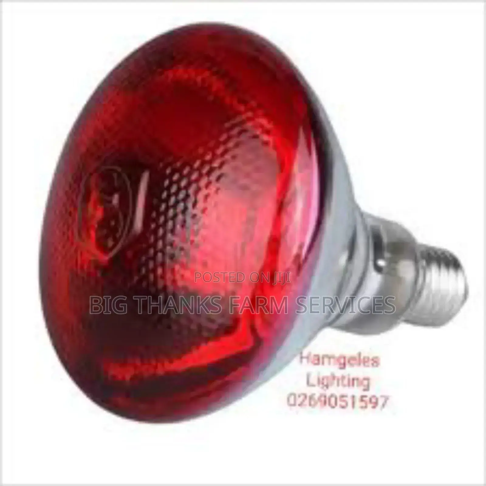 Brooder Lamps For Livestock