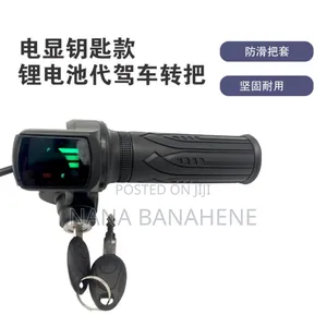 48v Twist Throttle for E Bike