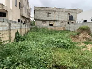Estate Land
