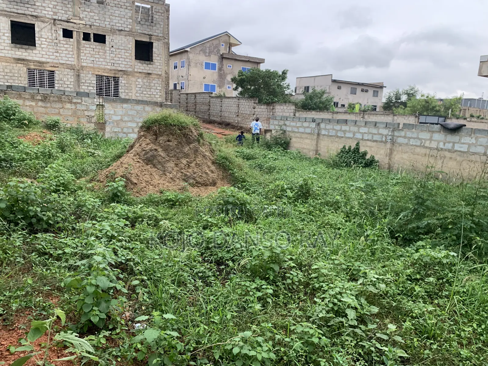 Estate Land