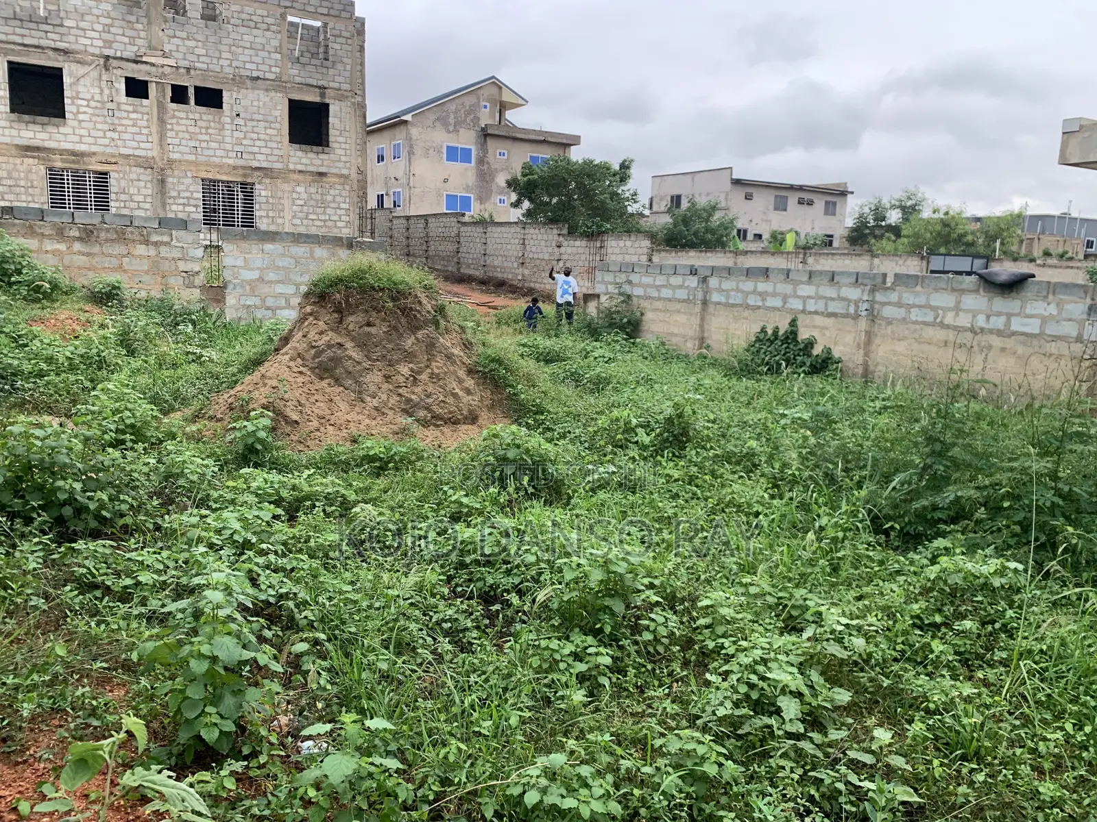 Estate Land