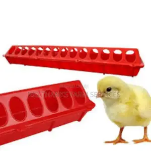 Chick Feeders,Flat 28 Holes