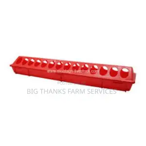 Chick Feeders, 28 Entries