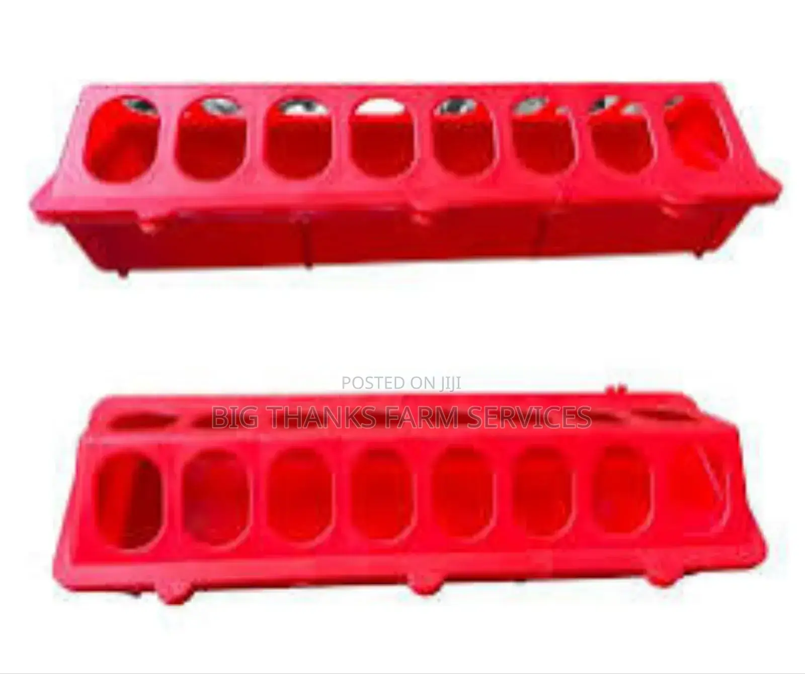Chick Feeders, Red