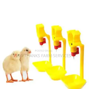 Automatic Chicken Drinkers, Yellow