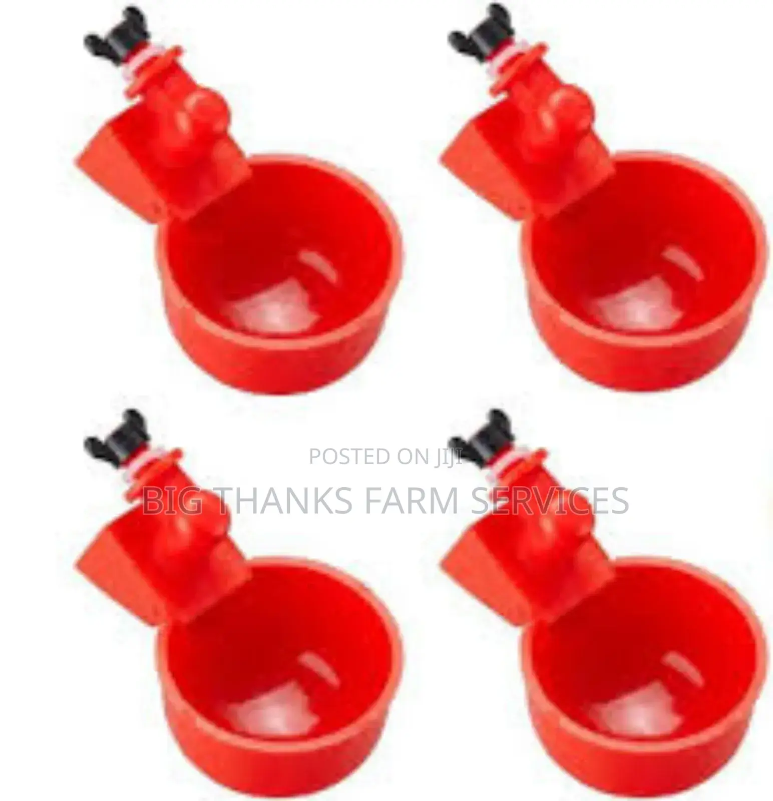 Automatic Chicken Drinkers, Cup