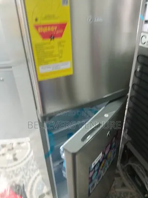 Natural and Healthy Pearl Freezing 2 Door Fridge Fridge