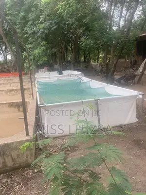 Tarpaulin Tanks