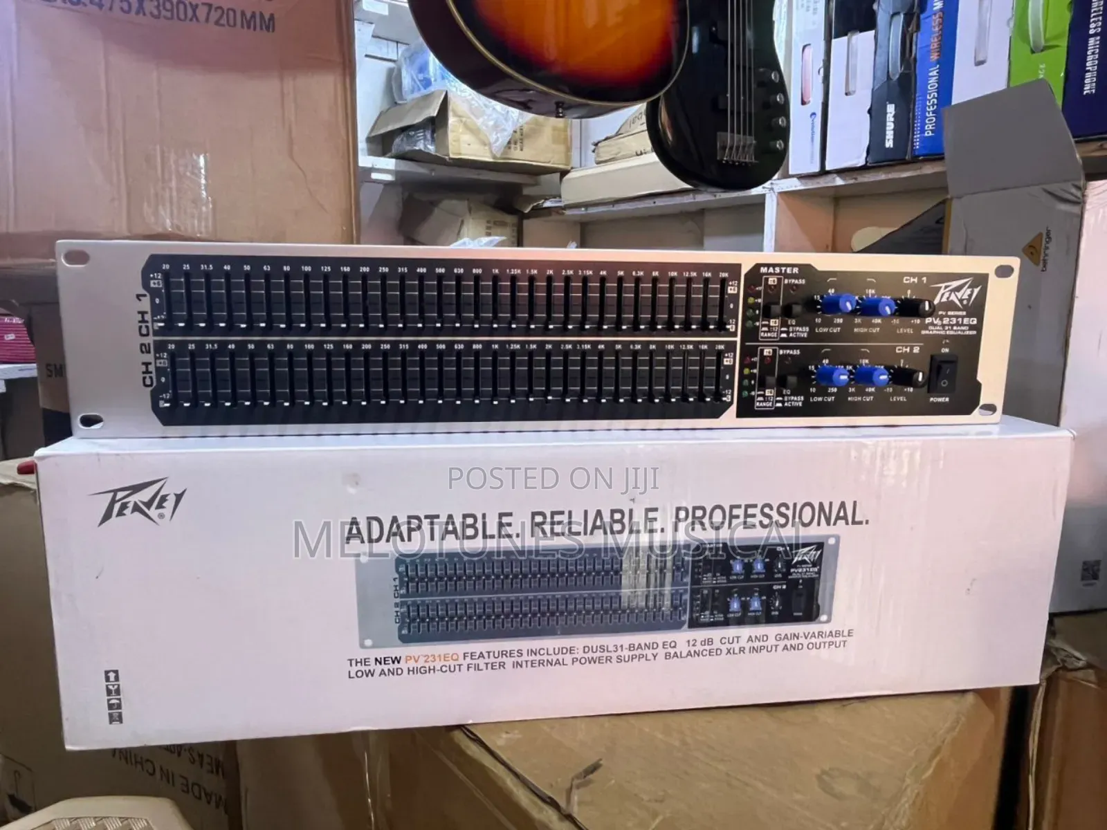 Peavey Pv231eq Dual 31-Band Graphic Equalizer