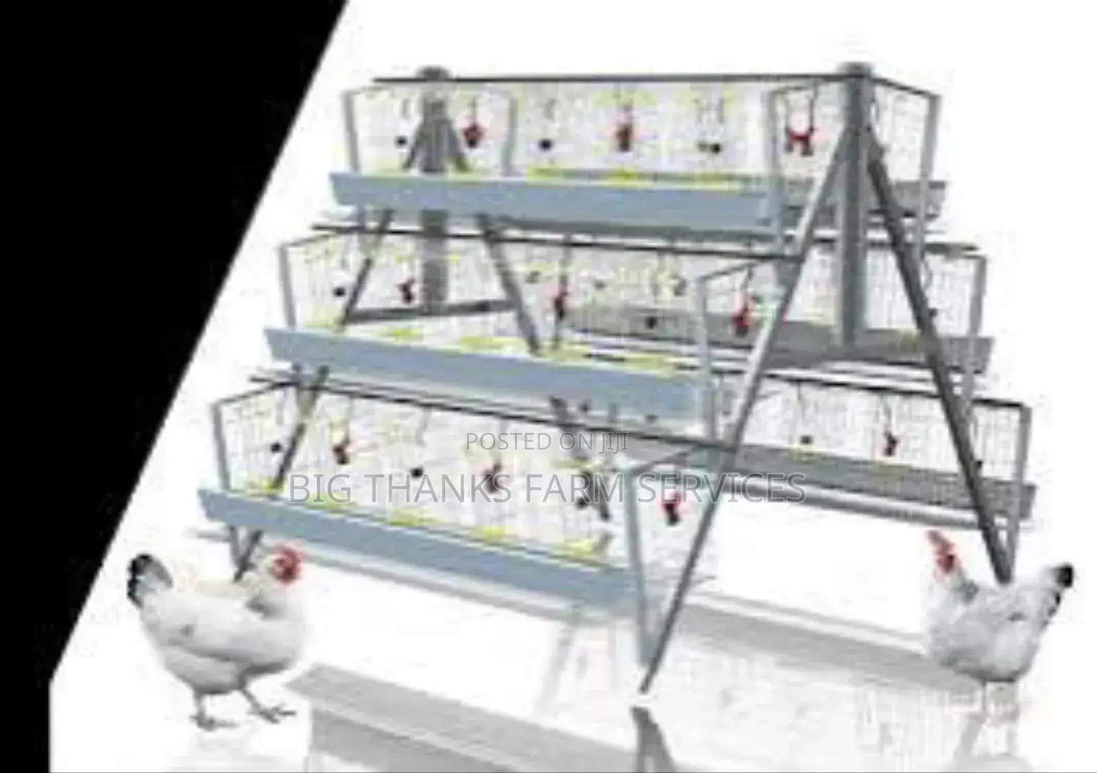 160 Bird Capacity Cages