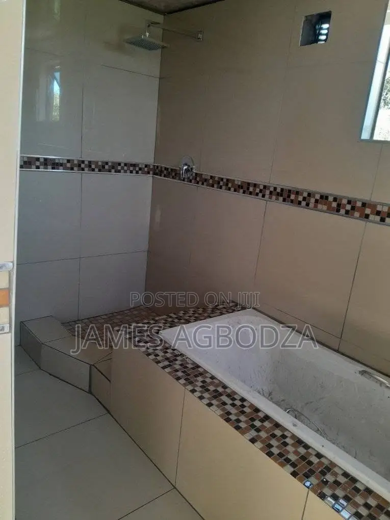 Professional Master Tiler