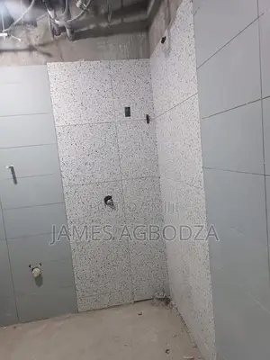 Professional Master Tiler