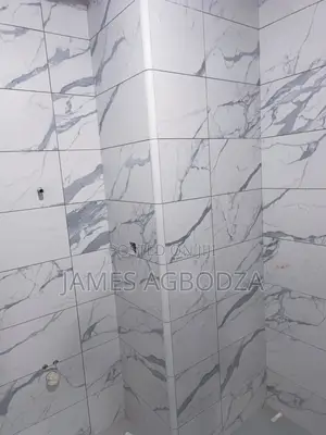 Professional Master Tiler