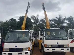 Hyundai 5 Tons Crane