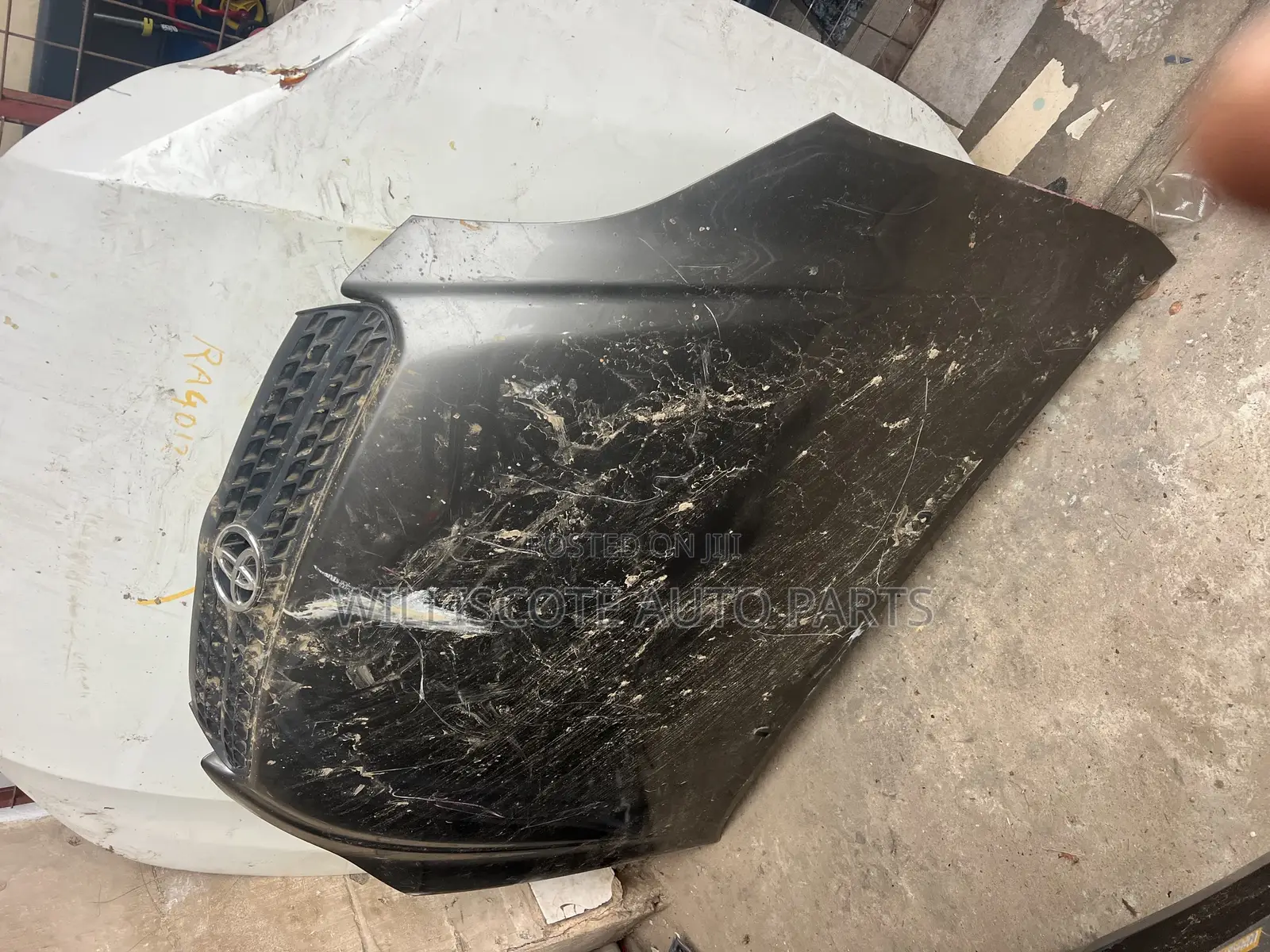 Toyota Matrix 03-08 Bonnet