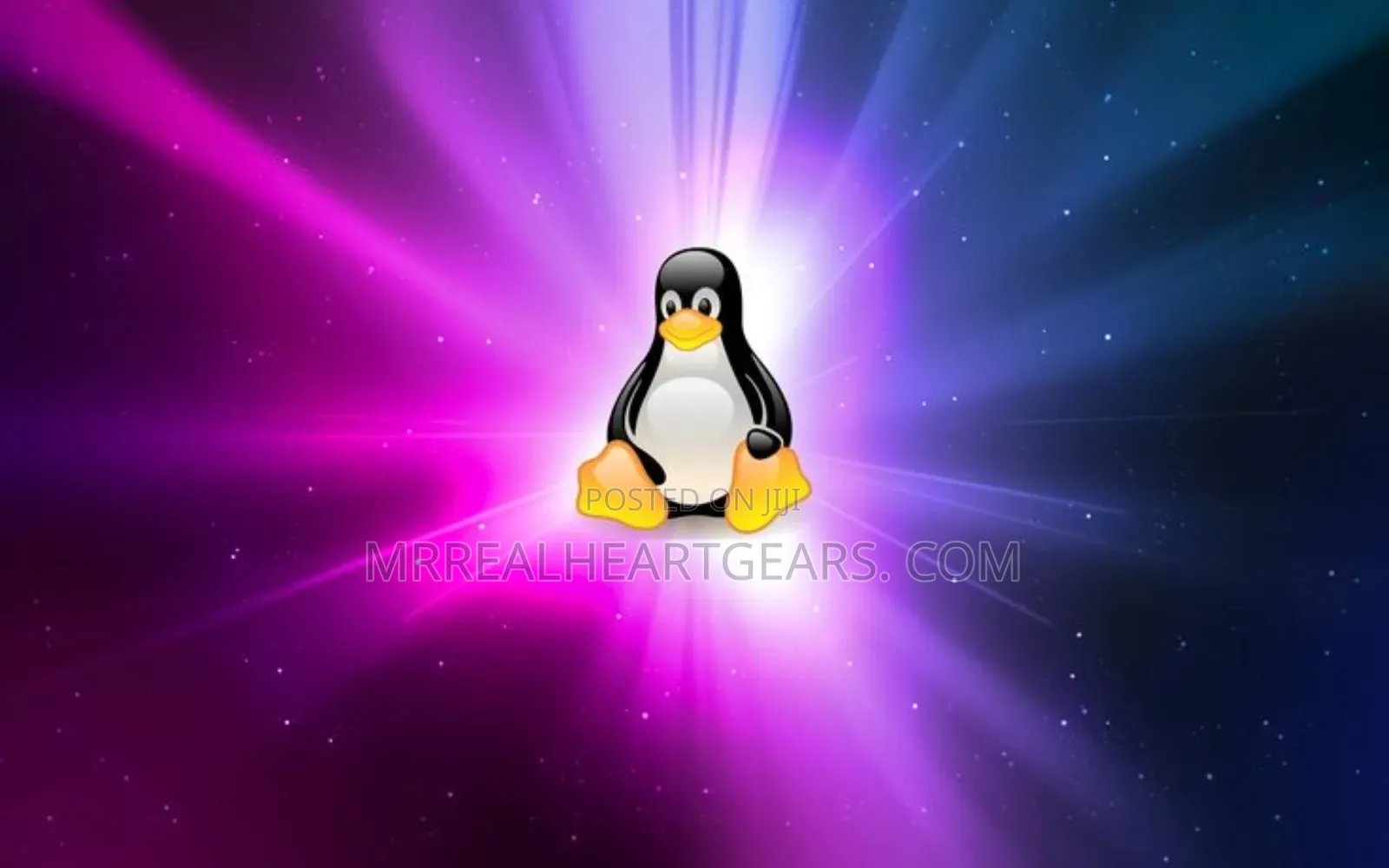 Any Windows and Linux Operating Systems Installation