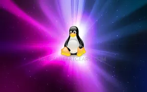 Any Windows and Linux Operating Systems Installation