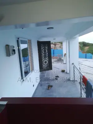 Professional Painter and Mason for Building