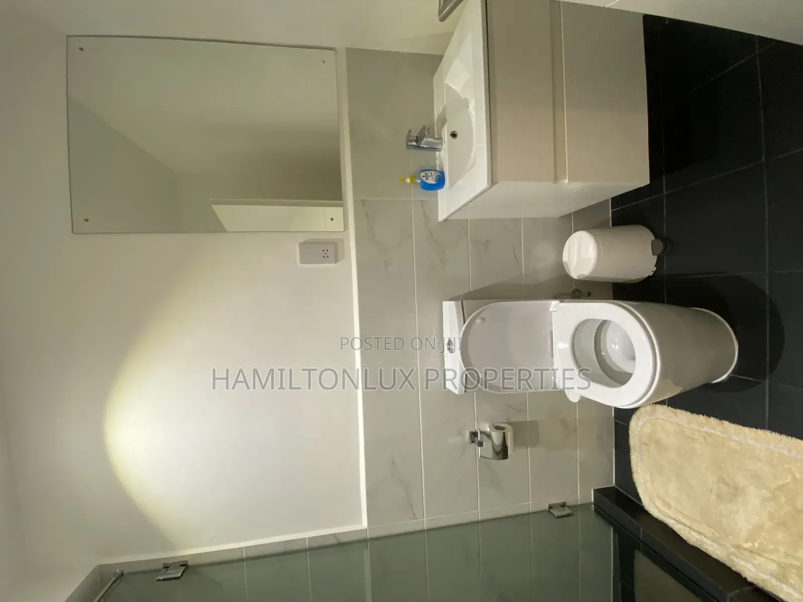 Furnished 1bdrm Apartment in Embassy Gardens, Cantonments for rent