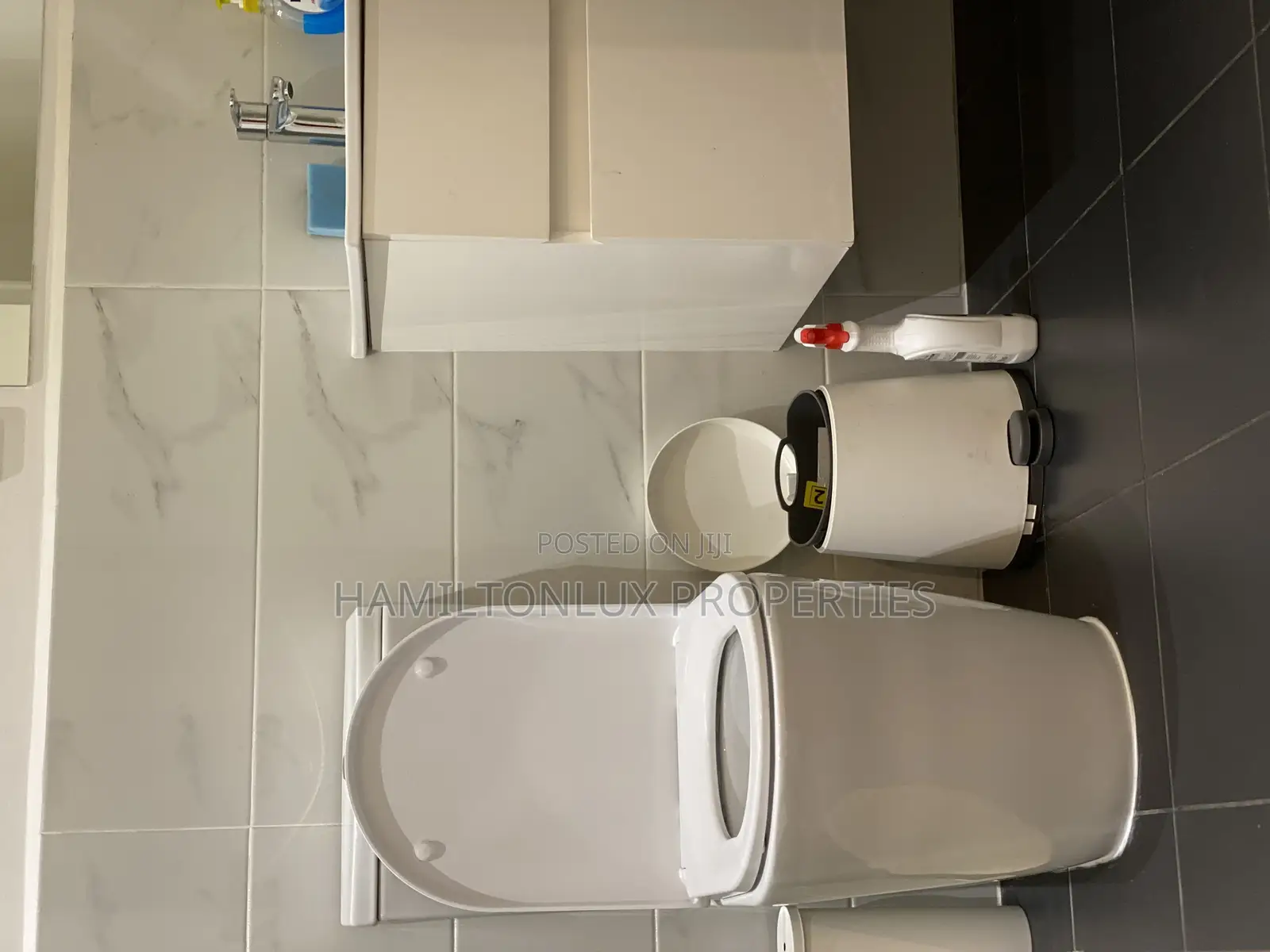Furnished 1bdrm Apartment in Embassy Gardens, Cantonments for rent