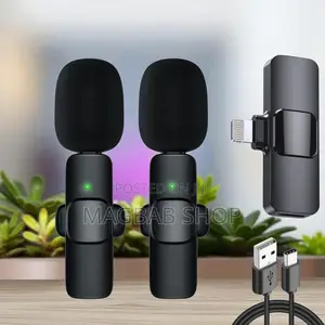 Original 2 In 1 Wireless Microphone (53888)