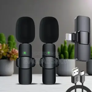 Two In One Wireless Microphone (76544)