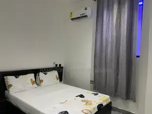 Furnished 2 Bedrooms Apartment in Adjiringanor