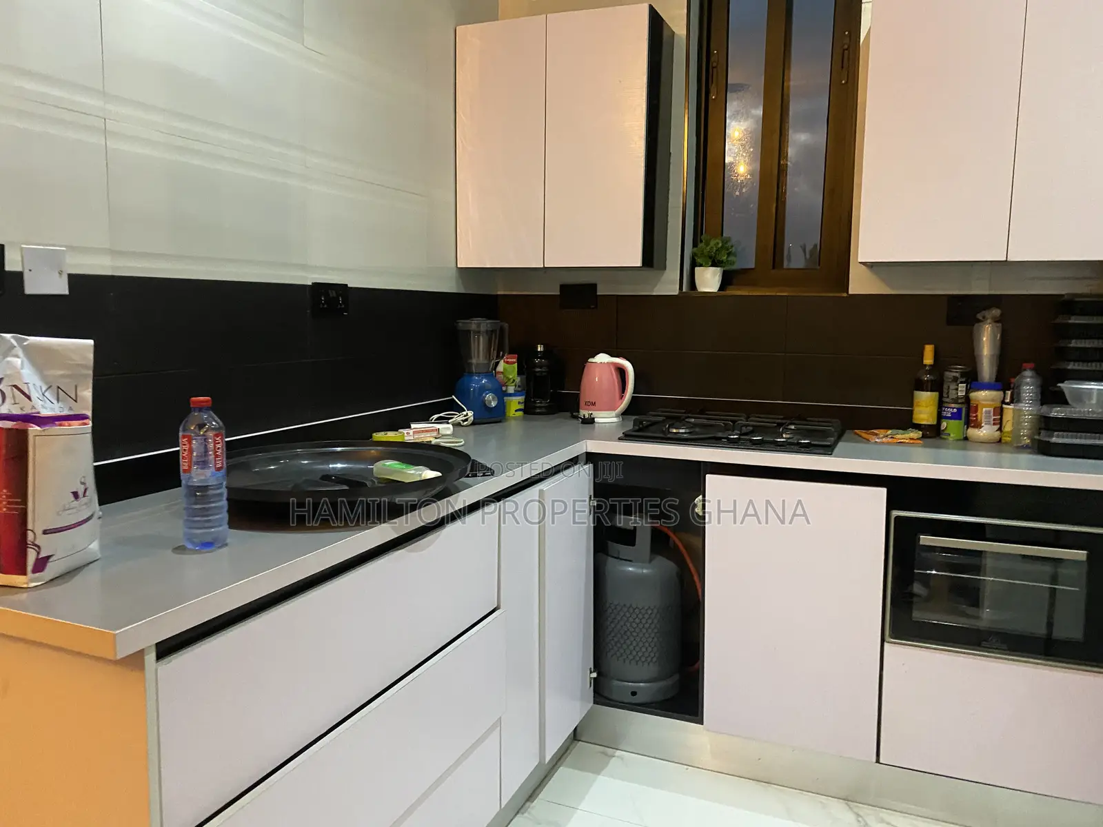 Furnished 2 Bedrooms Apartment in Adjiringanor