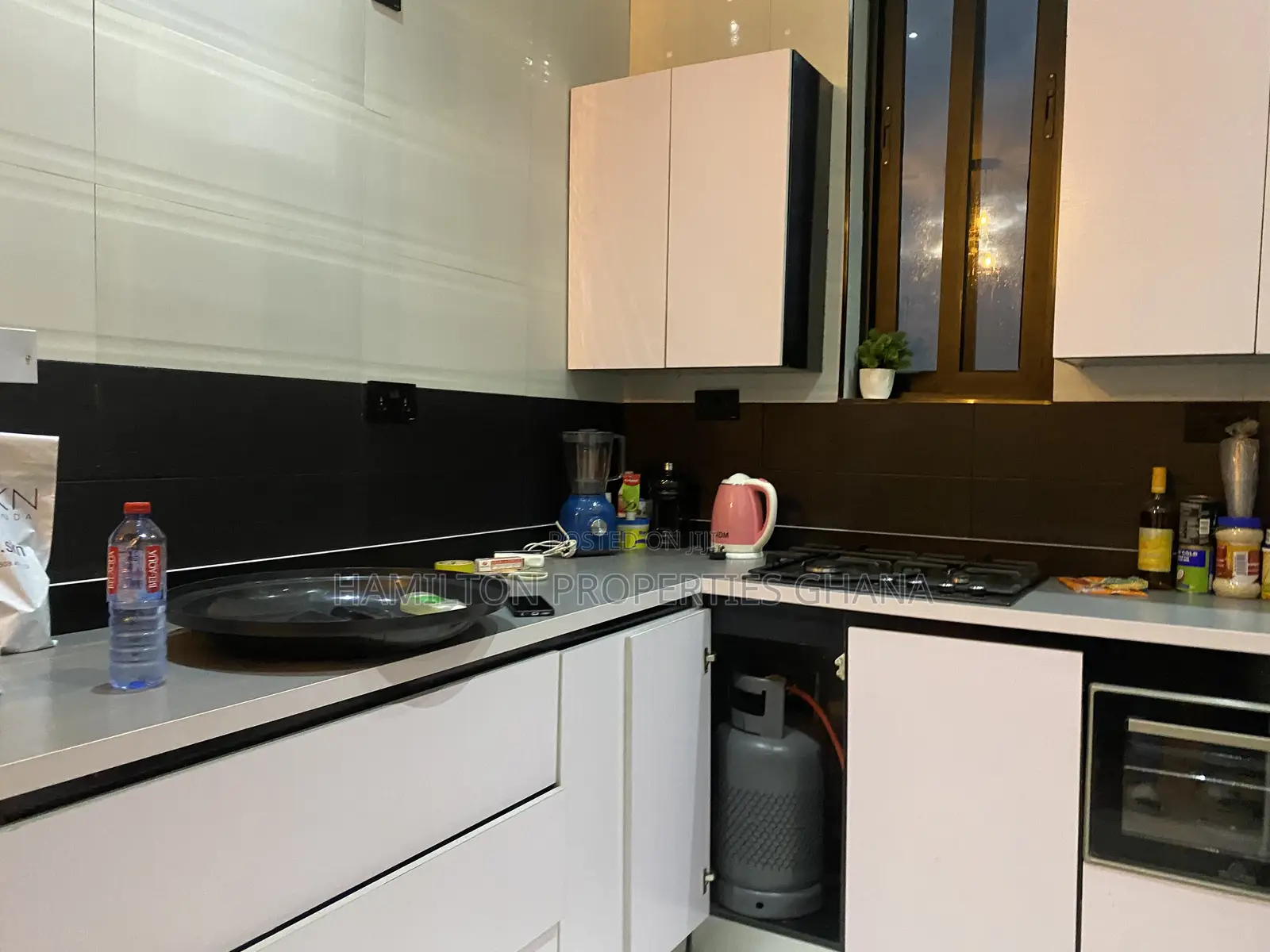 Furnished 2 Bedrooms Apartment in Adjiringanor
