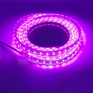 10meters RGB Strip Light With Remote