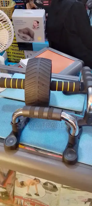 Ab Roller and Push Up Bars