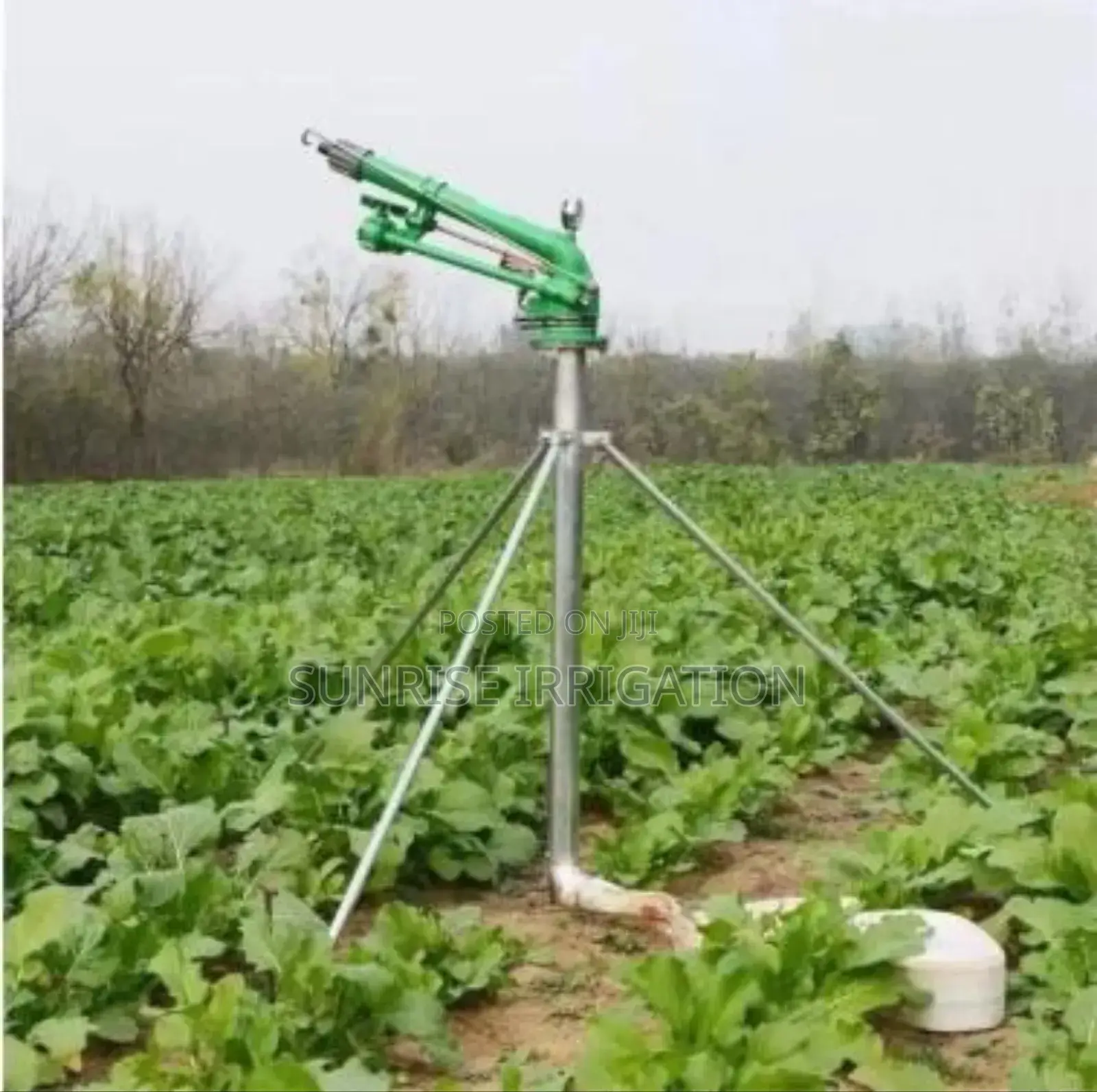 Irrigation Rain Gun - Up to 60m Radius