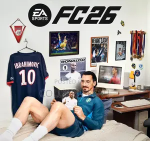 Ea Fc 26 Pc Shared Account