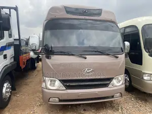 Hyundai County 2014 Brown