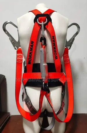 Safety Full Body Harness With Double Lanyards(Workman).