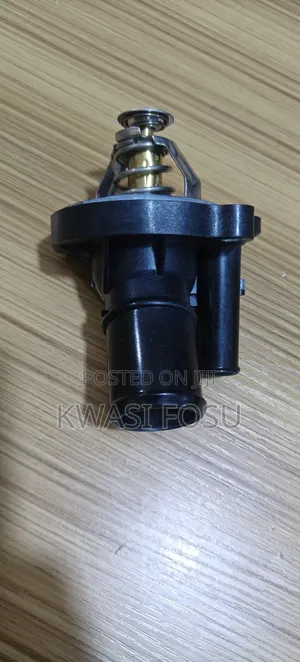 Ford Escape,Fusion,Focus,Transit Thermostat