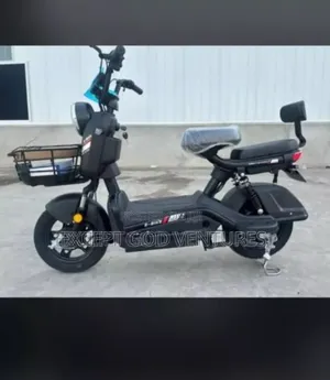 New Motorcycle 2024