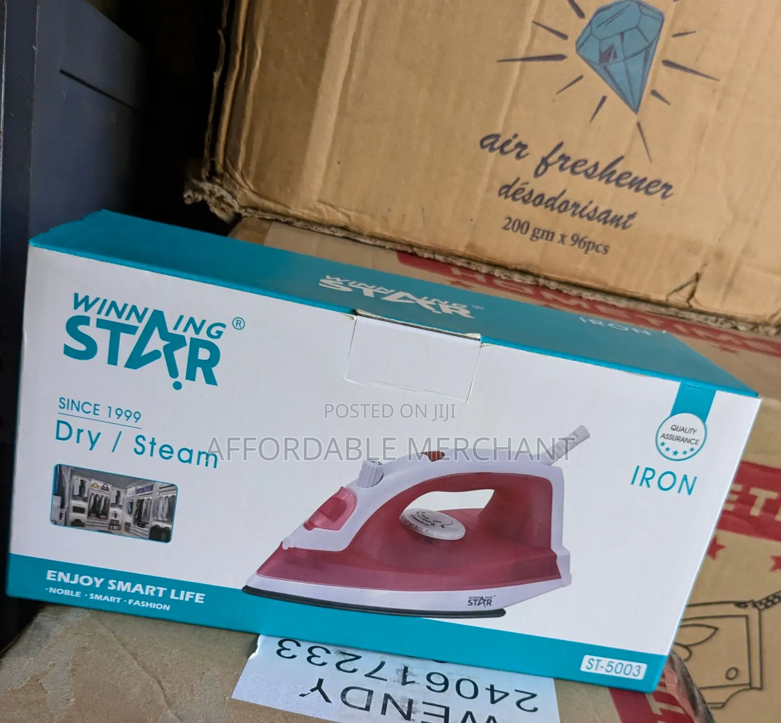 Winning Star Steam Iron (St-5003)